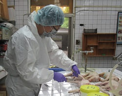 �Ὤ���ʴӪ����̩ҰʴӪ�Ų�w�Ѵ���1