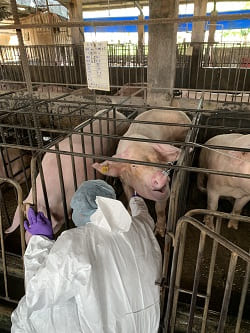 �Ὤ���ʴӪ����̩ҰʴӪ�Ų�w�Ѵ���3