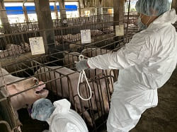 �Ὤ���ʴӪ����̩ҰʴӪ�Ų�w�Ѵ���4