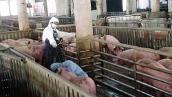 �Ὤ���ʴӪ����̩ҰʴӪ�Ų�w�Ѵ���6