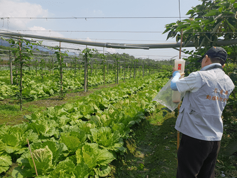 特定疫病蟲害田間監測工作