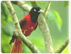 �Ὤ���ʴӪ����̩ҳ��Ͱʪ���ϴ���