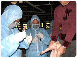 �Ὤ���ʴӪ����̩ҰʴӪ�Ų�w�Ѵ���