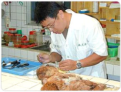 �Ὤ���ʴӪ����̩ҰʴӪ�Ų�w�Ѵ���