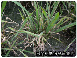 �Ὤ���ʴӪ����̩ҹA�@���f�ή`���v����