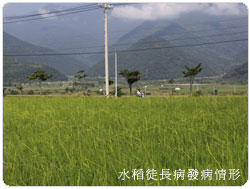 �Ὤ���ʴӪ����̩ҹA�@���f�ή`���v����