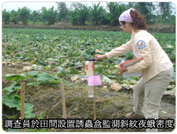 �Ὤ���ʴӪ����̩ҹA�@���f�ή`���v����