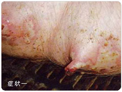 �f��̯g���@