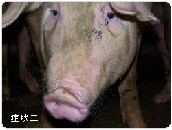 �f��̯g���G