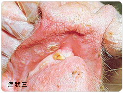 �f��̯g���T