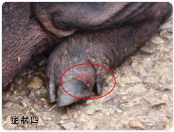 �f��̯g���|