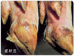 �f��̯g����