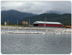 �Ὤ���ʴӪ����̩ҸV�f���̴���