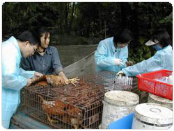 �Ὤ���ʴӪ����̩ҸV�f���̴���