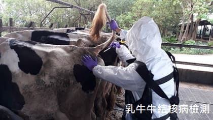 �Ť������֯f�˴�