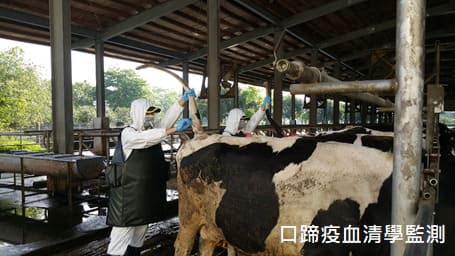 �f��̦�M�Ǻʴ�