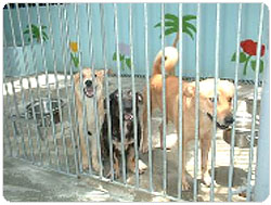 ���ݻ{�i���y����