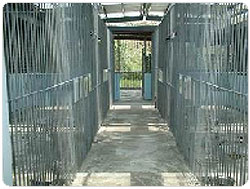 ���i�y�������a��