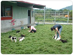 ô�d�ʪ��޲z