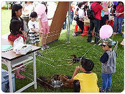 �{�i�y����